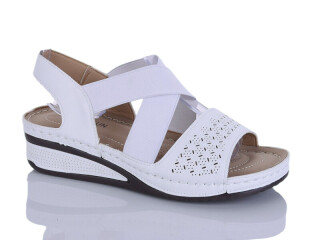 169-6, 8 (37-42), <strong>400</strong>, літо