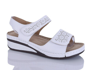 169-19, 8 (37-42), <strong>400</strong>, літо