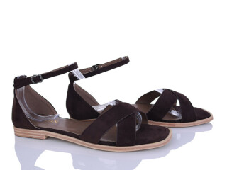 8038-51, 8 (36-41), <strong>590</strong>, літо