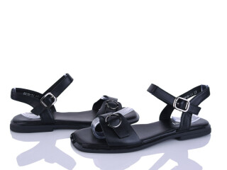 2816-11, 8 (36-41), <strong>590</strong>, літо