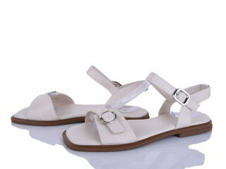 2816-13, 8 (36-41), <strong>590</strong>, літо