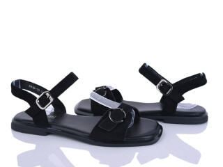 2816-15, 8 (36-41), <strong>590</strong>, літо