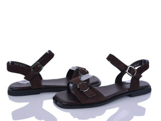 2816-16, 8 (36-41), <strong>590</strong>, літо