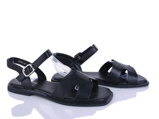 2816-17, 8 (36-41), <strong>590</strong>, літо