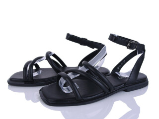 2818-50, 8 (36-41), <strong>590</strong>, літо