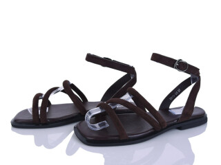 2818-55, 8 (36-41), <strong>590</strong>, літо