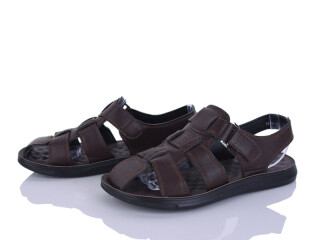 C8-2, 8 (40-45), <strong>410</strong>, літо