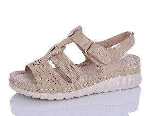 G97-3, 8 (37-42), <strong>450</strong>, літо