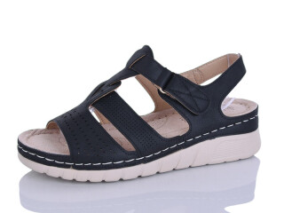 G97-8, 8 (37-42), <strong>450</strong>, літо