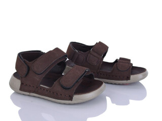 C11 brown, 8 (26-31), <strong>510</strong>, літо