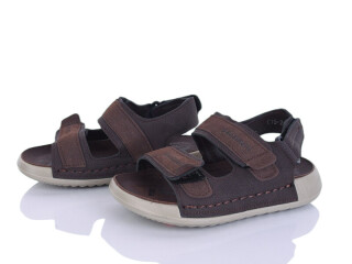 C15 coffee, 8 (26-31), <strong>510</strong>, літо