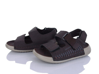 C13 coffee, 8 (26-31), <strong>510</strong>, літо