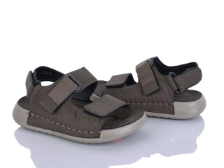 C13 green, 8 (26-31), <strong>510</strong>, літо