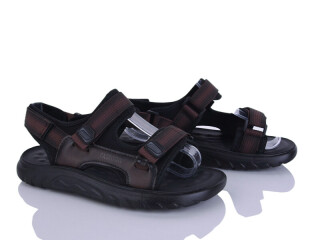 666-2, 8 (36-41), <strong>510</strong>, літо