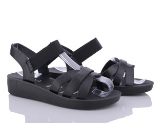 C18-1, 8 (36-41), <strong>255</strong>, літо