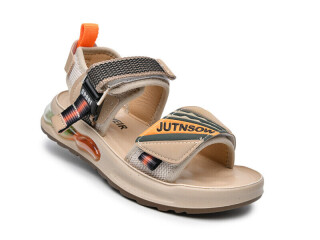 A2919B, 14 (31-37), <strong>295</strong>, літо