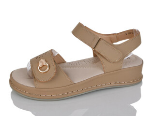 B911-5, 8 (36-41), <strong>470</strong>, літо