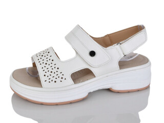 B922-3, 8 (36-41), <strong>470</strong>, літо