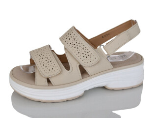 B921-2, 8 (36-41), <strong>470</strong>, літо