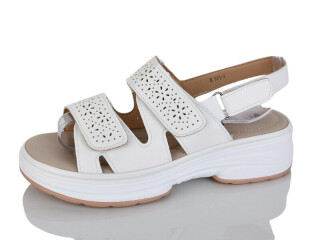 B921-3, 8 (36-41), <strong>470</strong>, літо