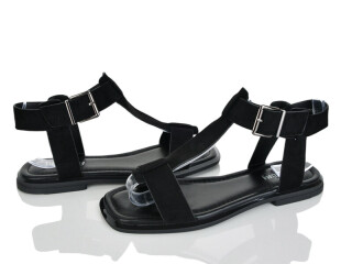 2818-61, 8 (36-41), <strong>590</strong>, літо