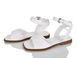 2818-65, 8 (36-41), <strong>590</strong>, літо