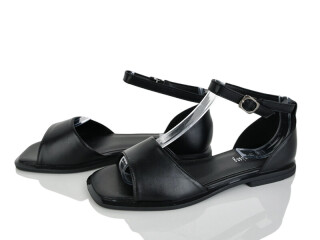 2817-43, 8 (36-41), <strong>580</strong>, літо