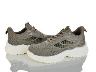 2611-3, 8 (40-45), <strong>510</strong>, літо