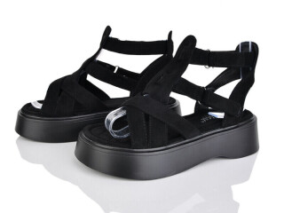 SC2419-1, 8 (36-41), <strong>550</strong>, літо