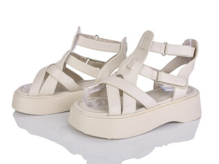 SC2419-5, 8 (36-41), <strong>550</strong>, літо