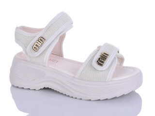 730, 8 (36-41), <strong>570</strong>, літо