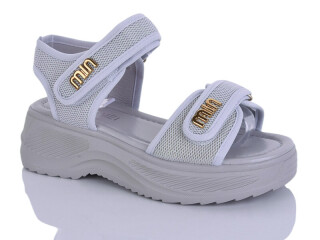 730-5, 8 (36-41), <strong>570</strong>, літо