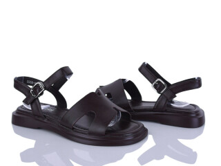 5098-97, 8 (36-41), <strong>590</strong>, літо