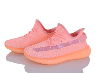 CX203-12, 8 (36-41), <strong>670</strong>, літо